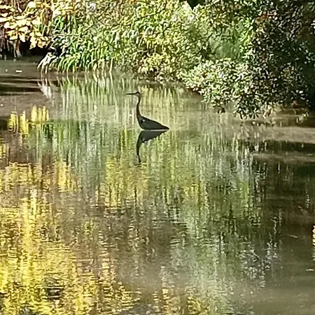 بيت للعطل Virevent