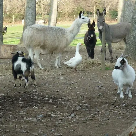 بيت للعطل Virevent *