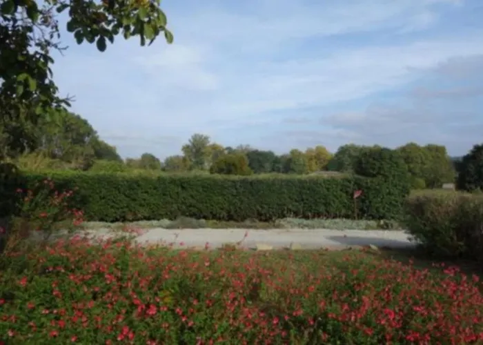 Virevent Carcassonne