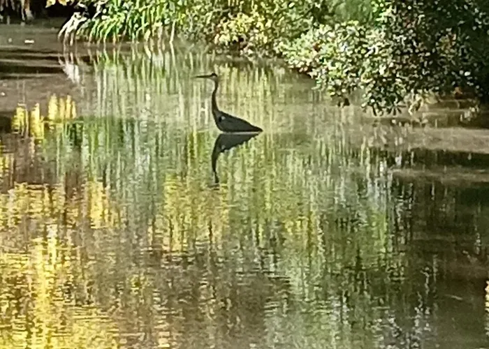 Holiday home Virevent