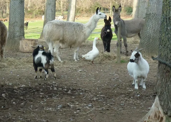 Holiday home Virevent *